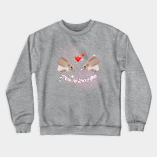 mice to know you valentines day design Crewneck Sweatshirt